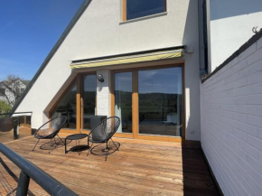 Villa in Moravia with heated pool